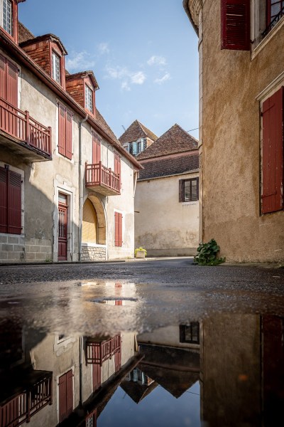 saleys_2019_267