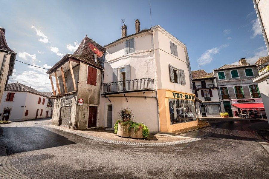 saleys_2019_277