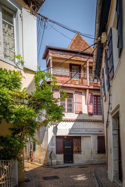 saleys_2019_283