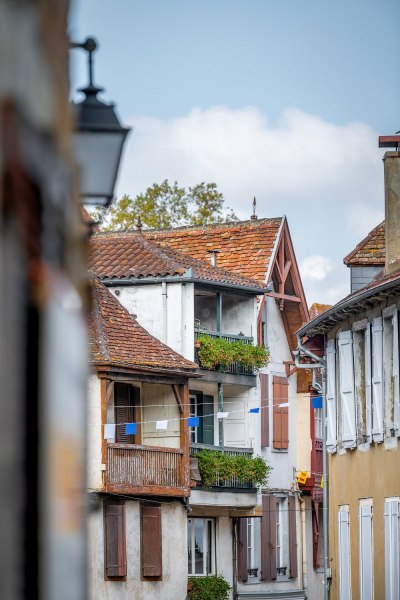 saleys_2019_340